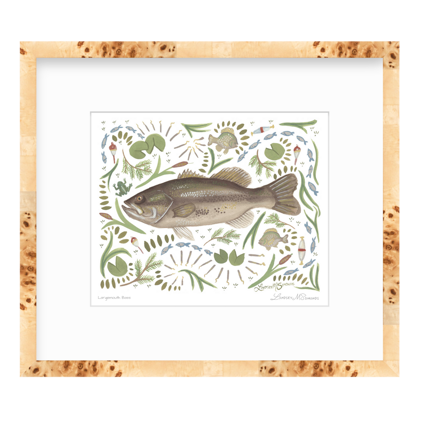 Largemouth Bass