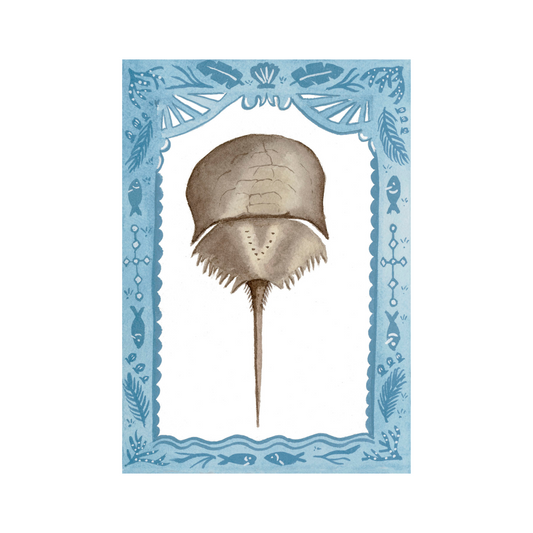 Horseshoe Crab