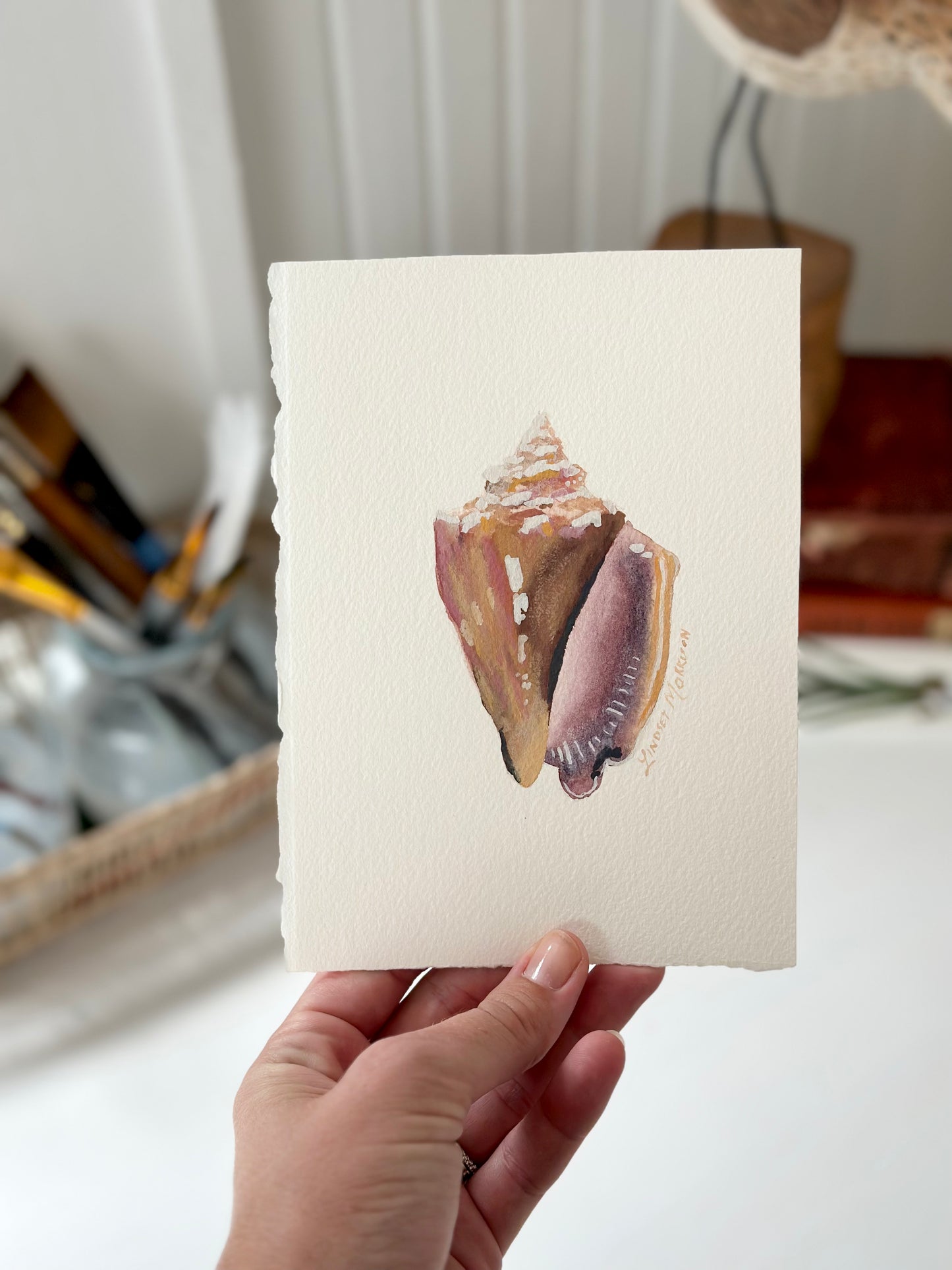 Fighting Conch Shell