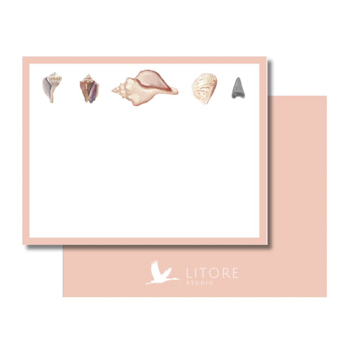 Coastal Shells Stationery (Flat)