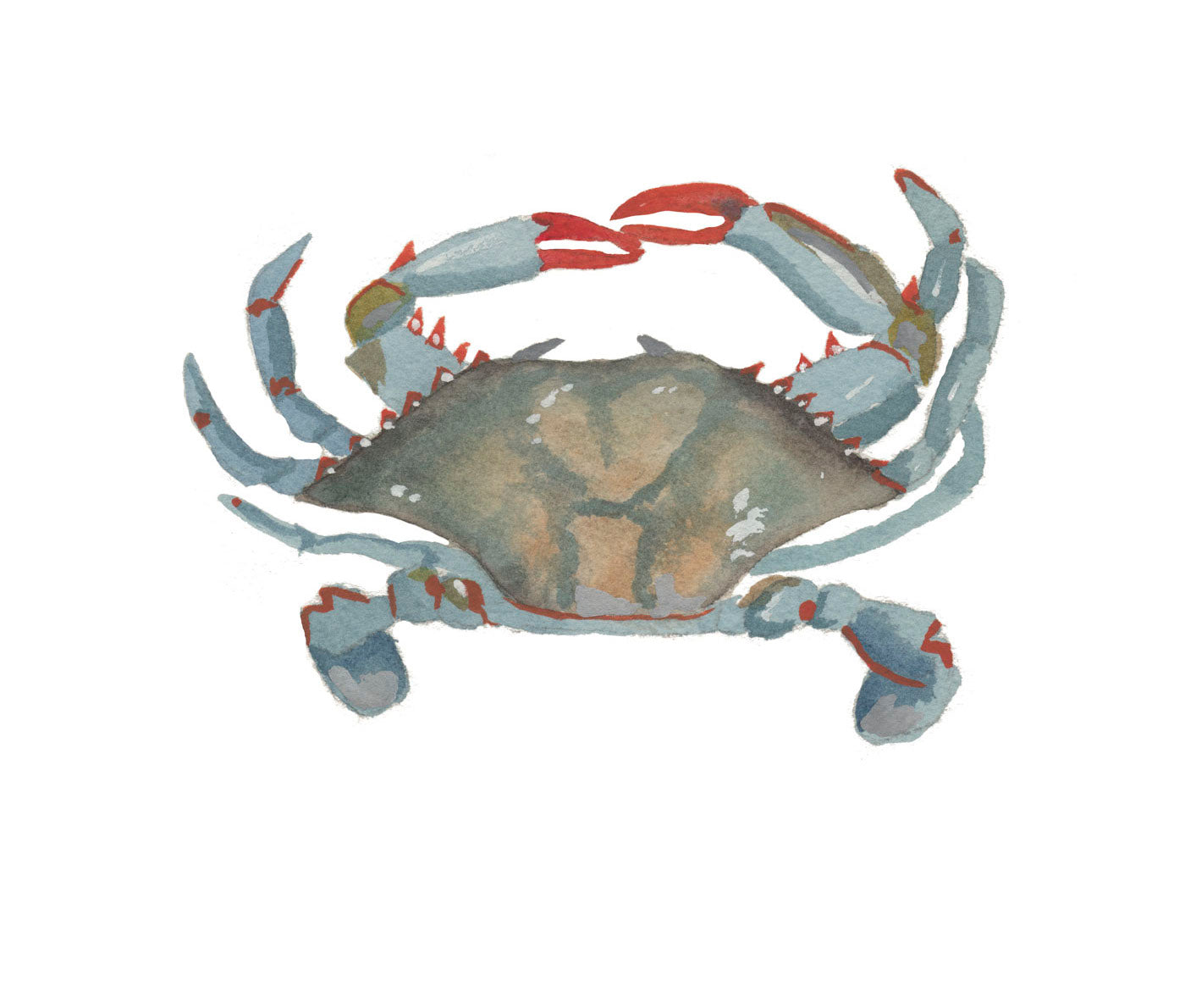 Blue Crab