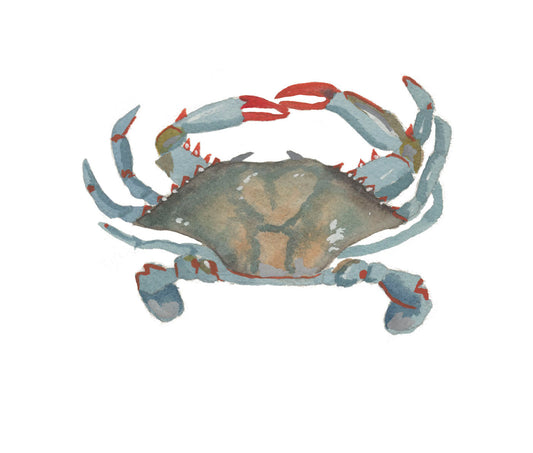 Blue Crab
