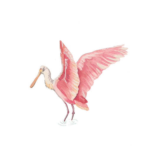 Roseate Spoonbill (petite)