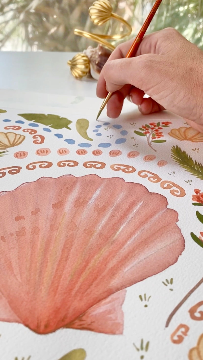 Oceano Scallop