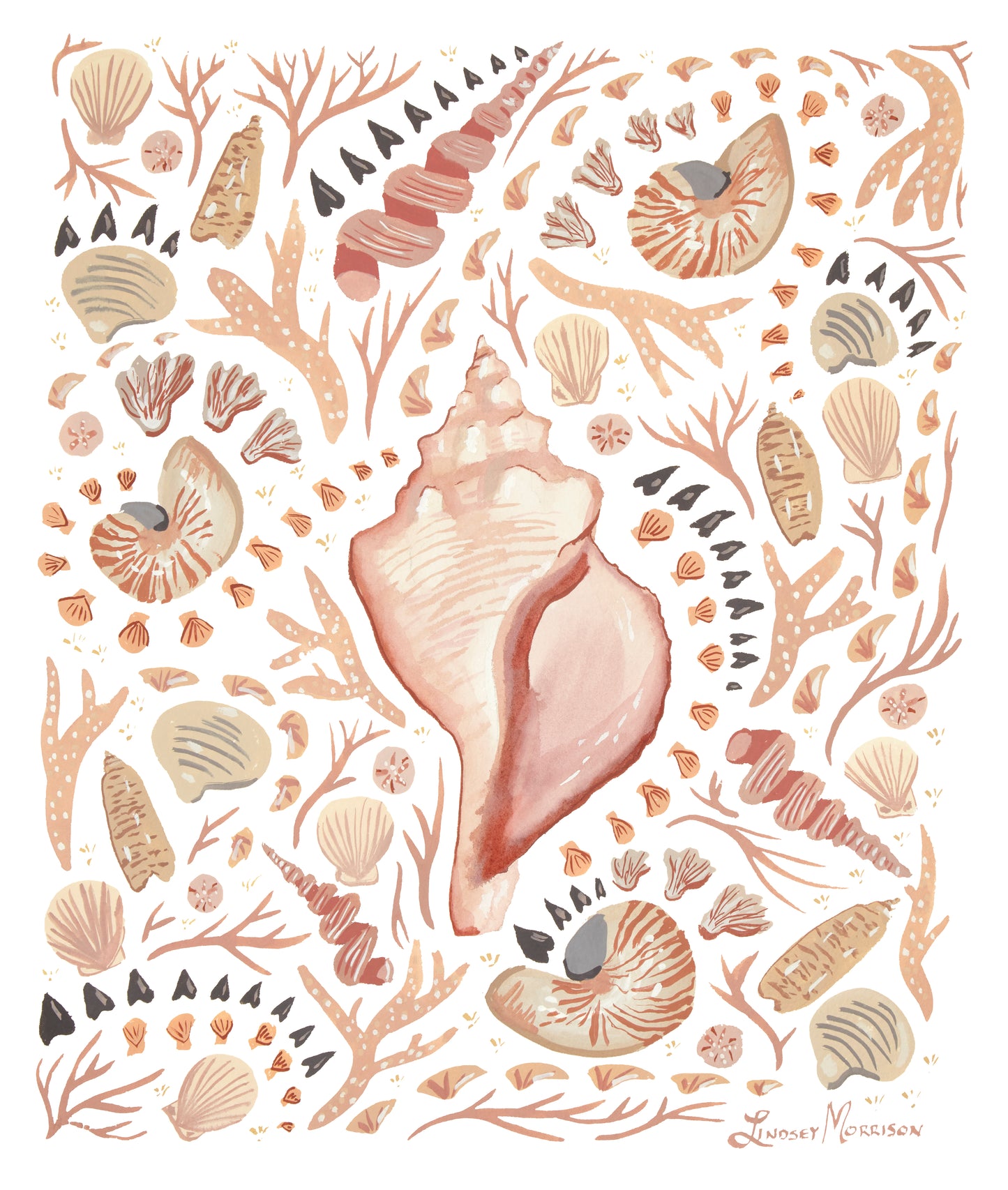 Shells by the Shore