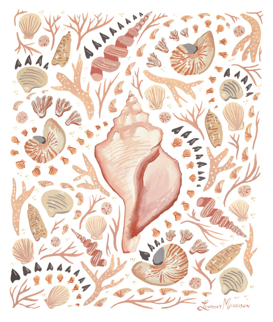 Shells by the Shore