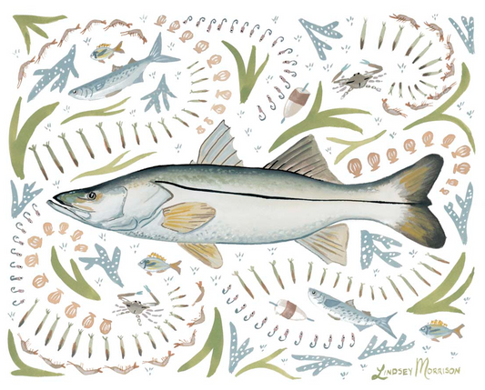 Snook Motif