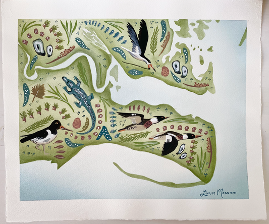 Forgotten Coast - Alligator Harbor