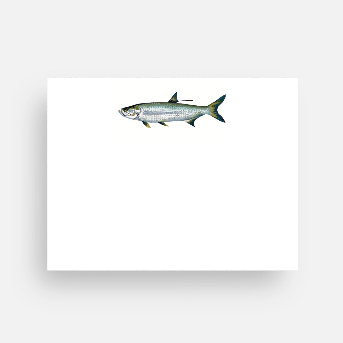 Tarpon Stationery (Flat)