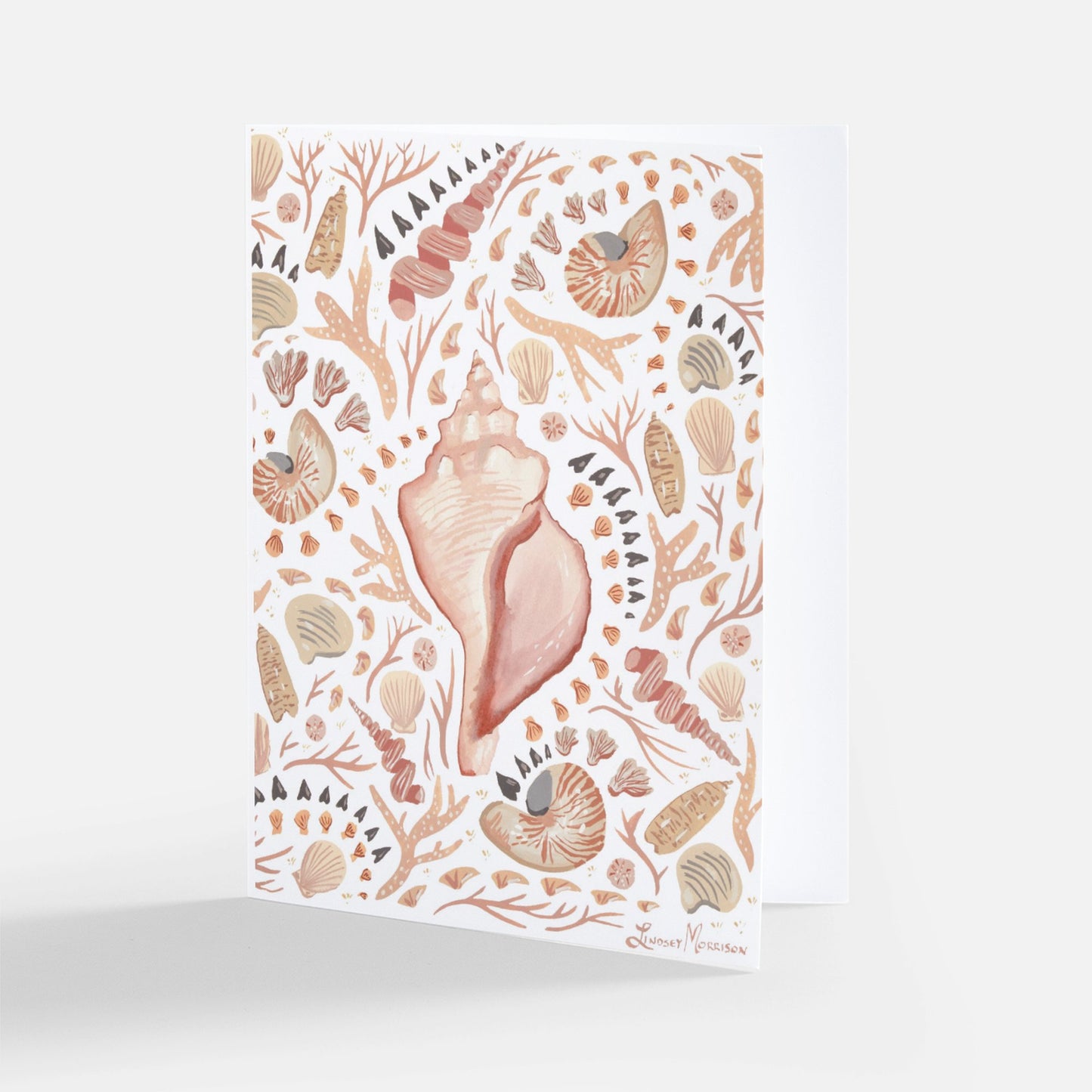 Shells Stationery (Folded)