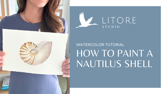 How to Paint a Nautilus Shell