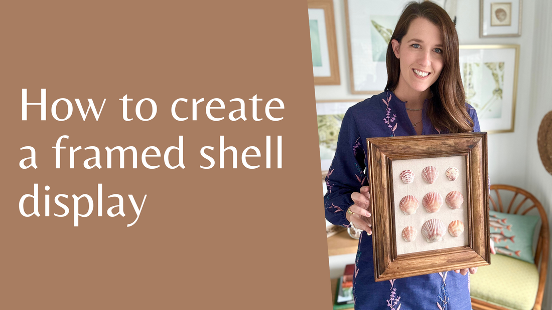 How to Create a Framed Shell Display