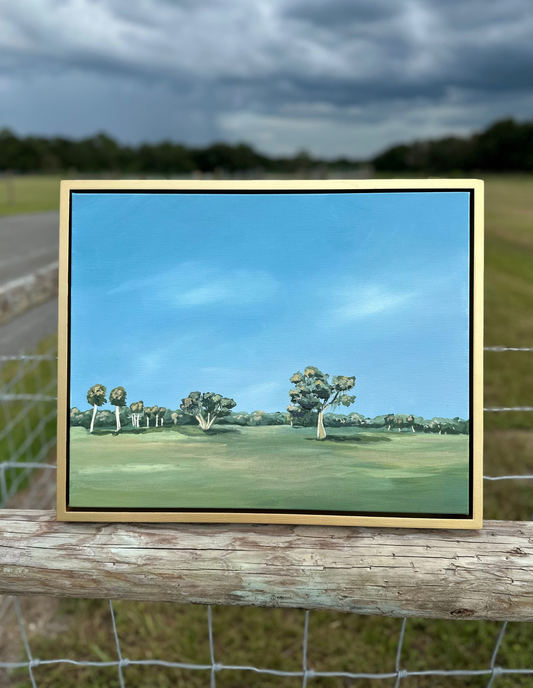 Zolfo Fields