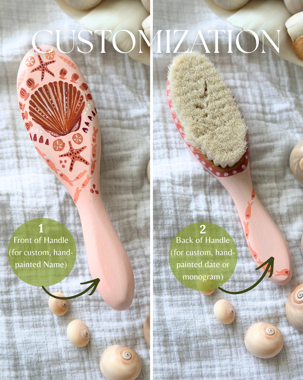 Scallop Shell Baby Brush