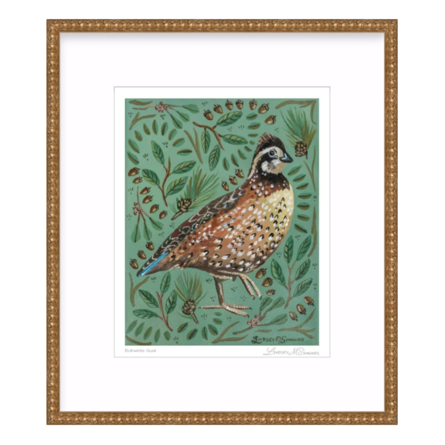 Bobwhite Quail