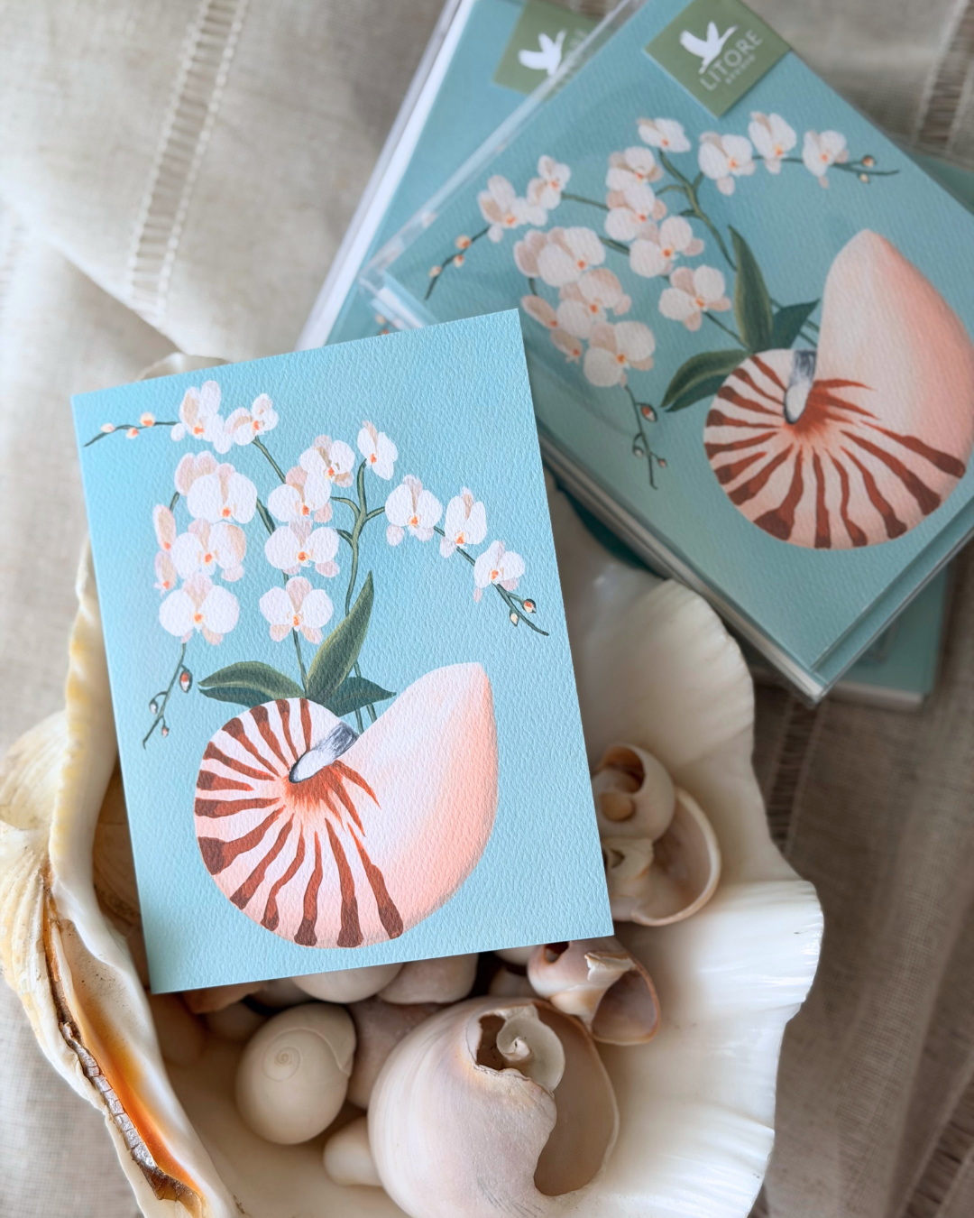Nautilus and White Orchid Notecard