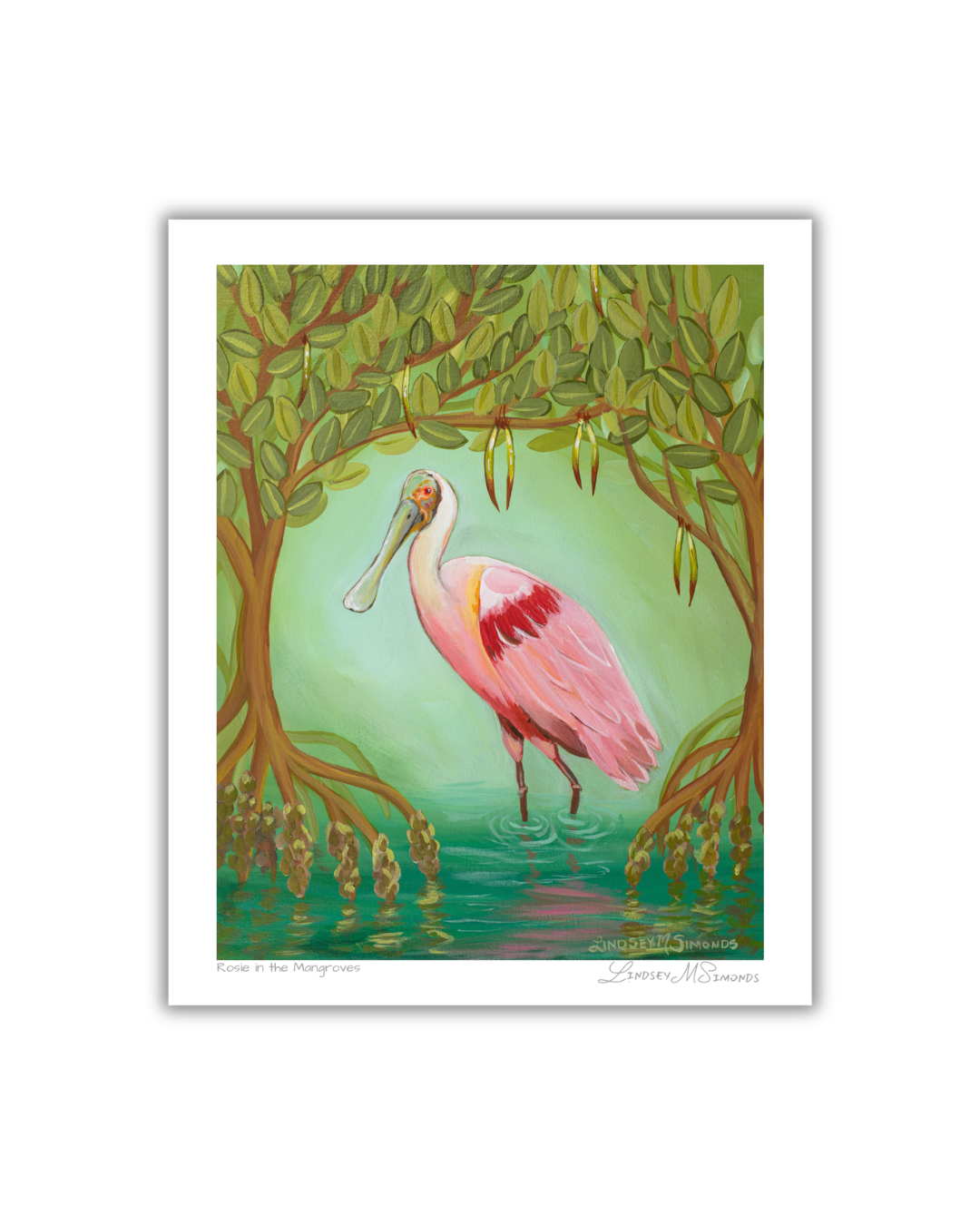 Roseate Spoonbill in the Mangroves