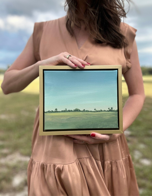 Florida Pasture II