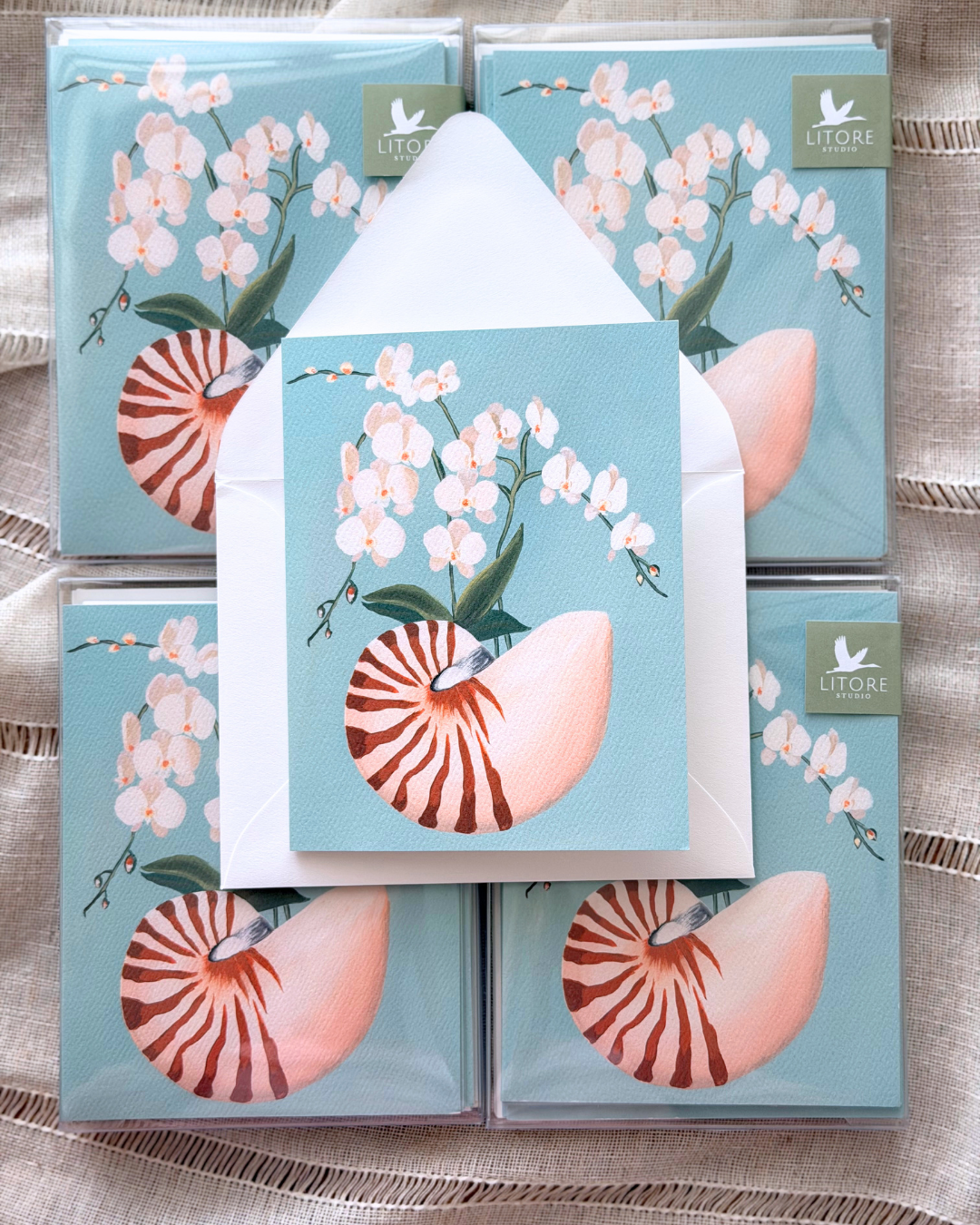 Nautilus and White Orchid Notecard