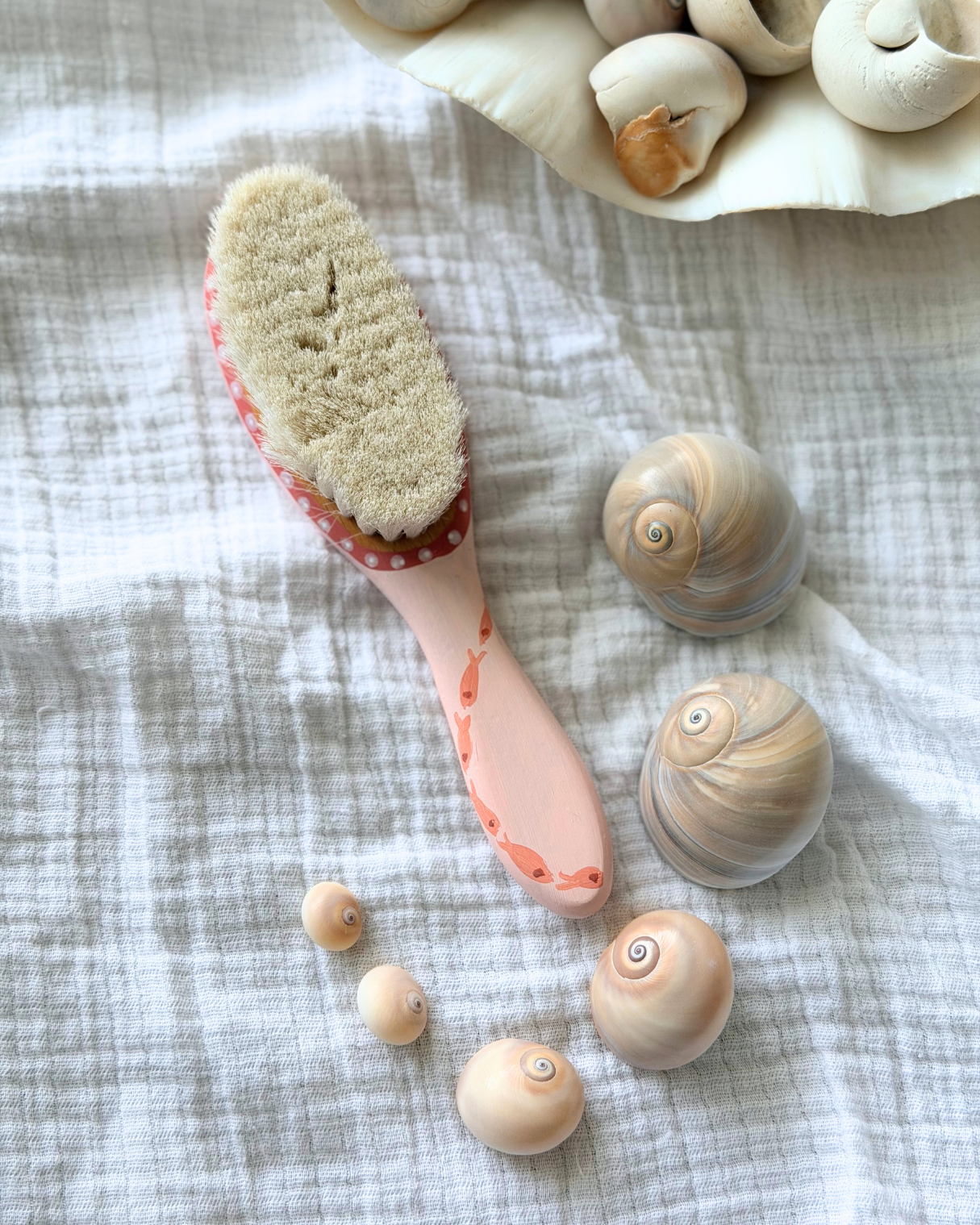 Scallop Shell Baby Brush
