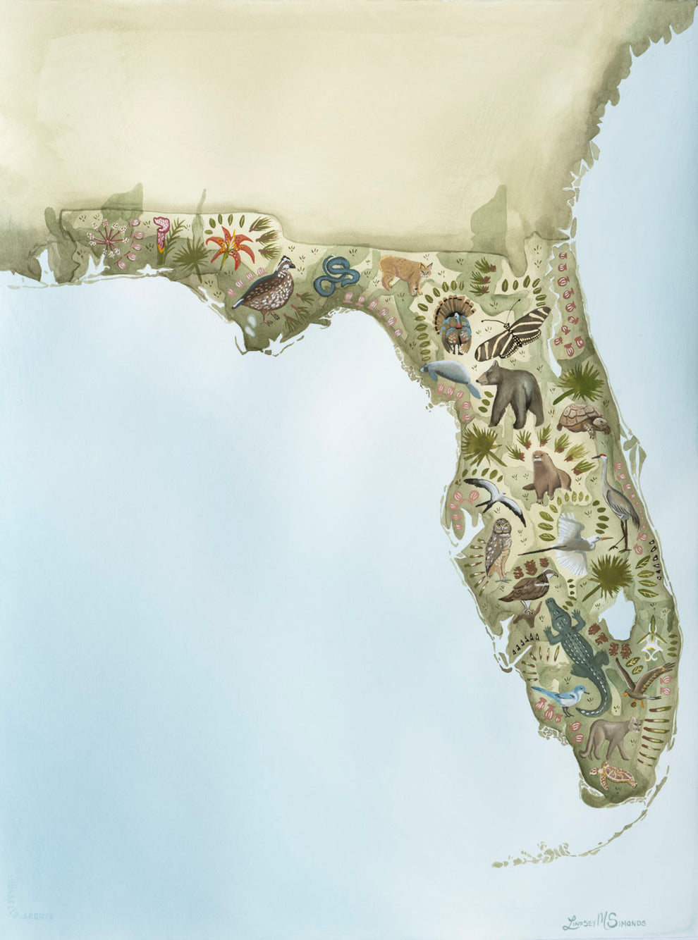 The Florida Wildlife Corridor Map Motif – Litore Studio