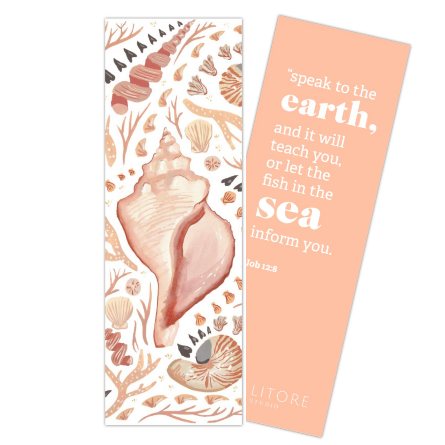Shells by the Shore Bookmark