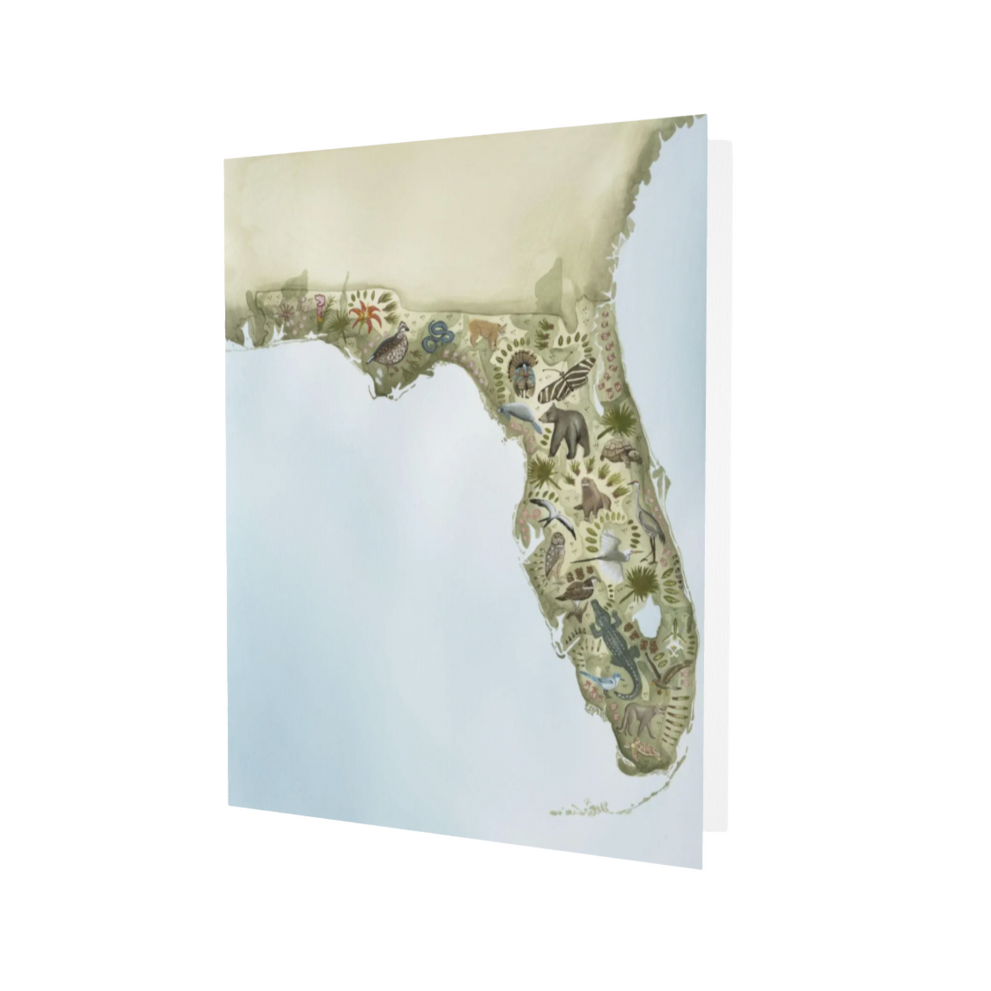 Florida Wildlife Corridor Map Notecard