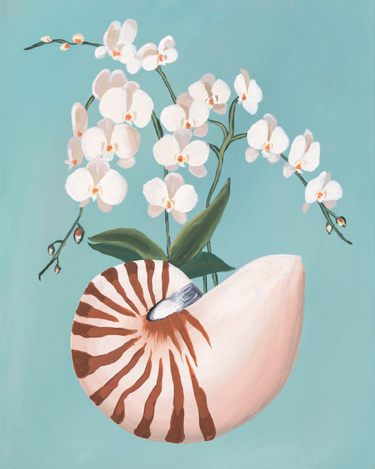 Nautilus Shell and White Orchid