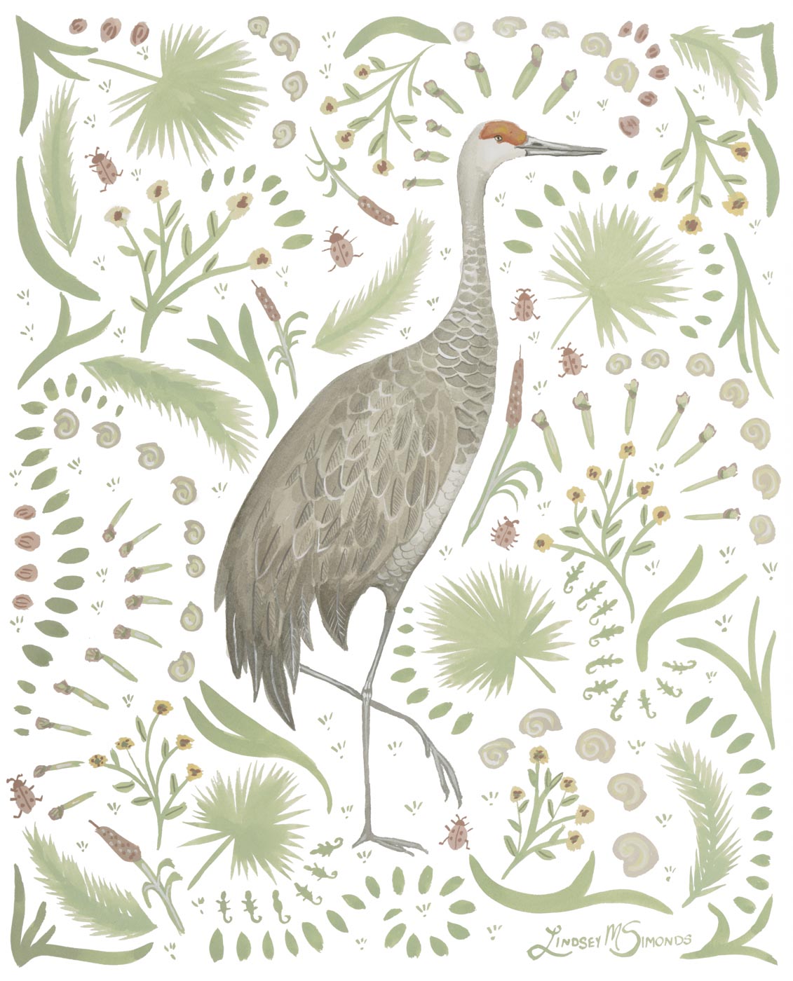 Sandhill Crane