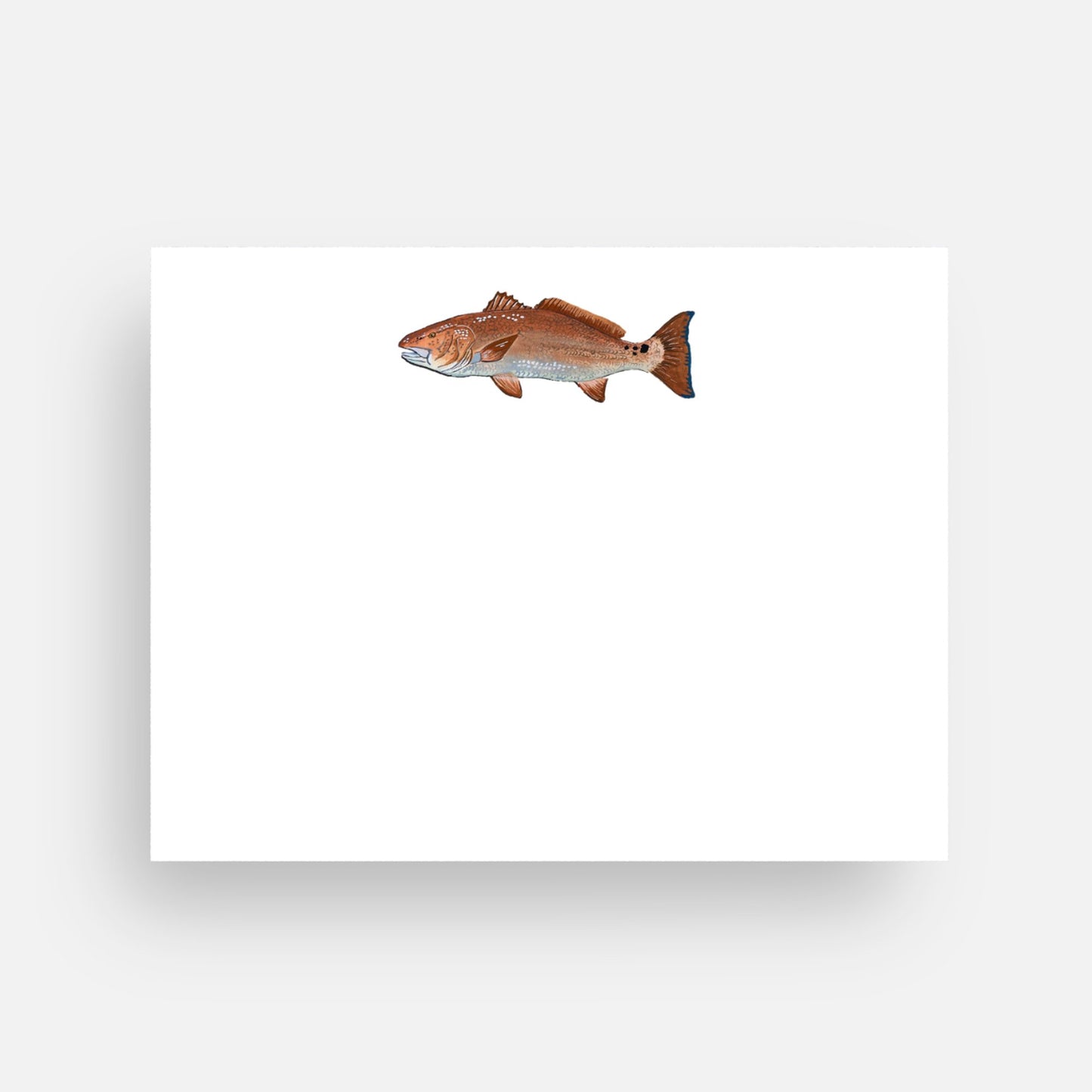 Redfish Stationery (Flat)