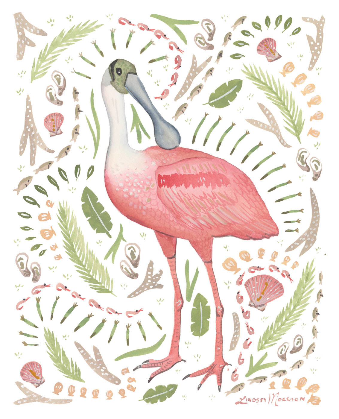 Roseate Spoonbill